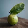Image of Guava Leaf